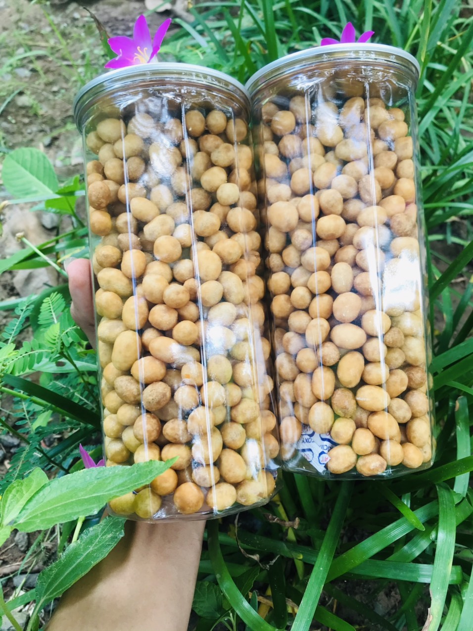 Đậu Phộng da Cá Nước cốt dừa 400gr