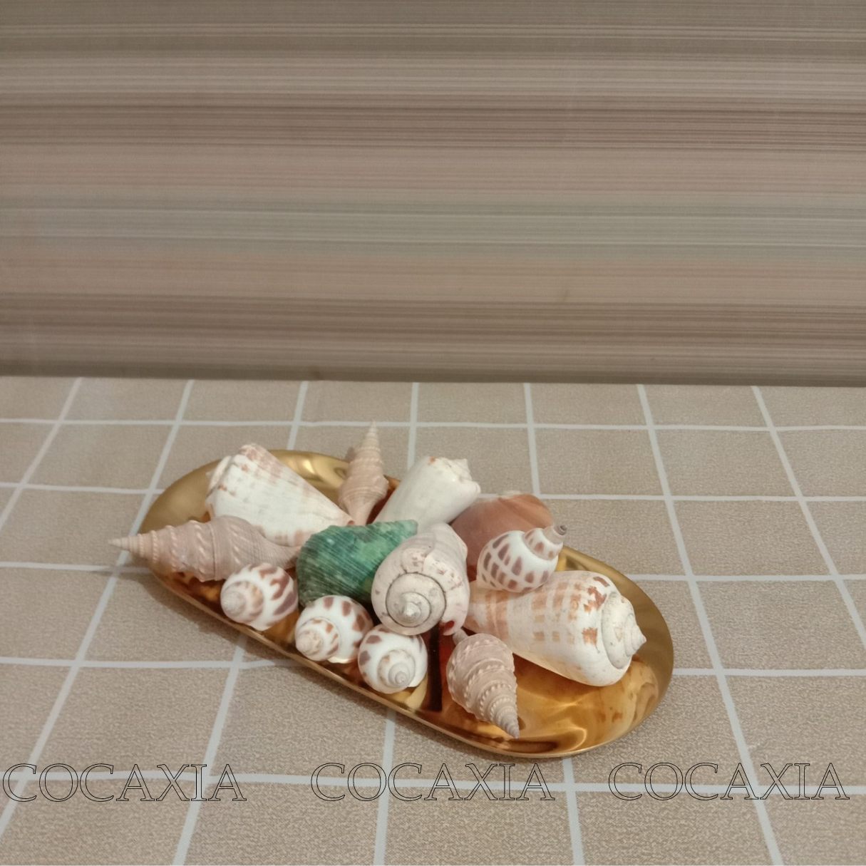 Handmade decorative sea shell, Gravel