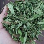 Cỏ Ngọt sấy khô nguyên chất 100 gram.