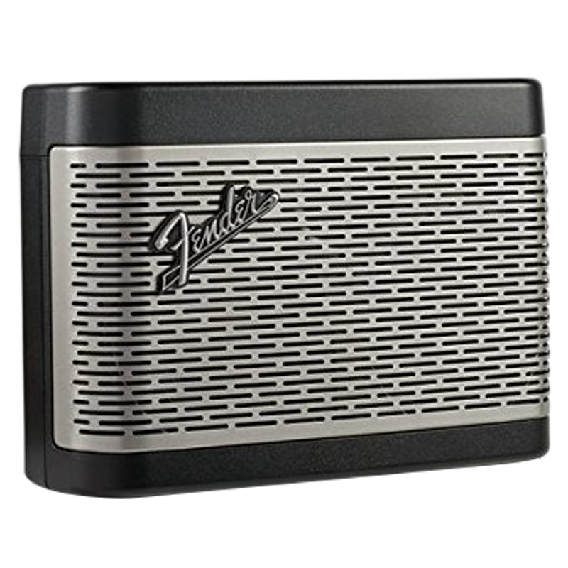 Loa không dây Fender Newport 2