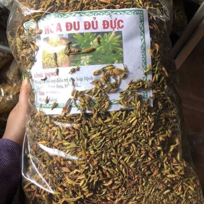 Sỉ toàn quốc 50g hoa đu đủ đực khô