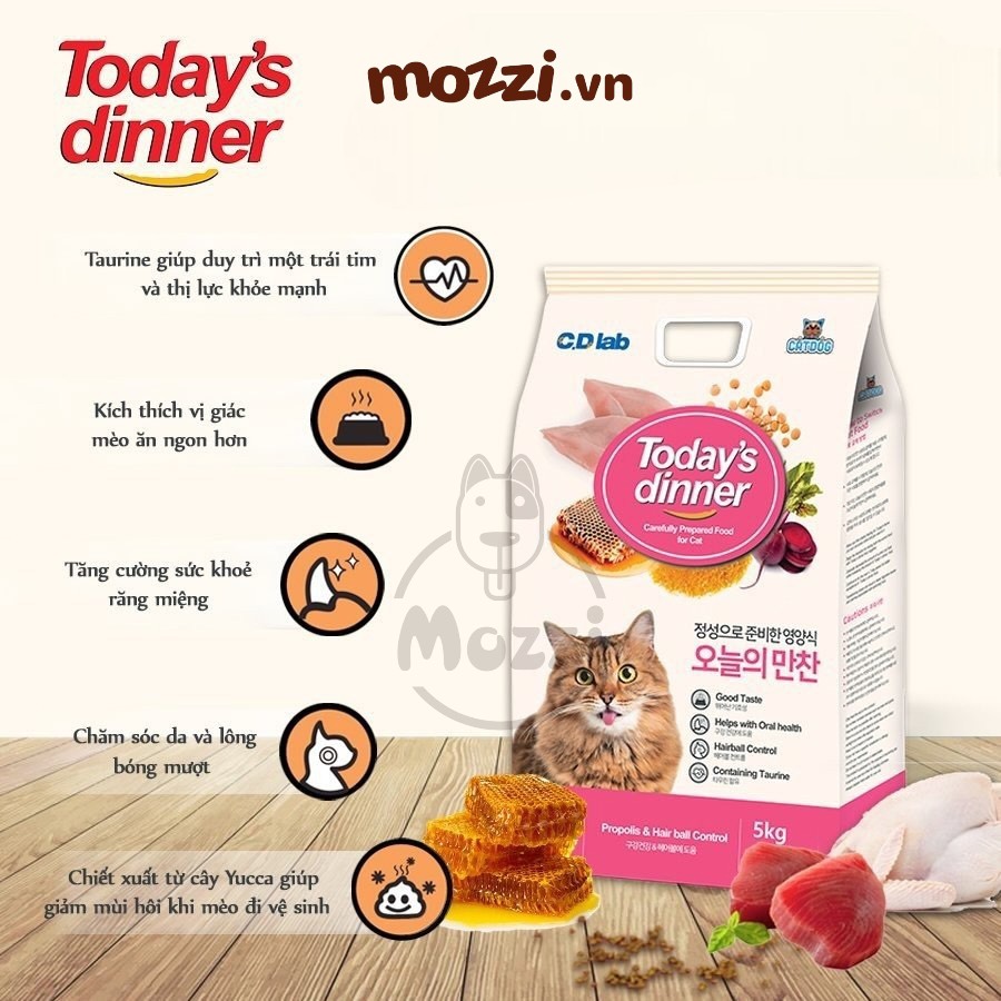 [Bịch 1kg] Today's Dinner Thức ăn Hạt cho mèo mọi lứa tuổi