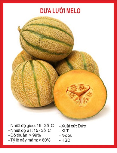 Hat giống dưa lưới múi  - 1 gói 10 hạt