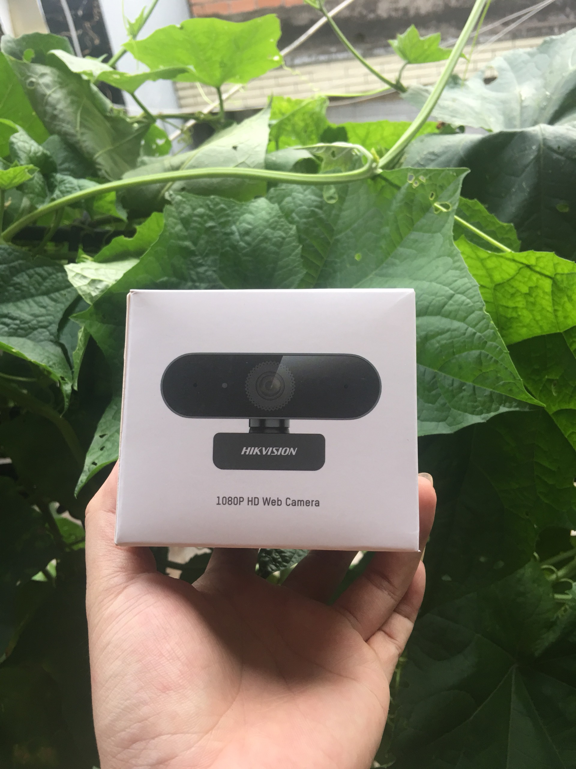 Webcam FullHD 1080P Hikvision DS