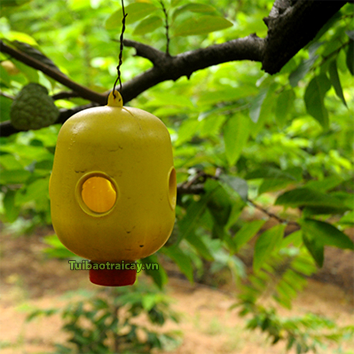 2 Bẫy nhựa đặt dung dịch diệt ruồi vàng - T86