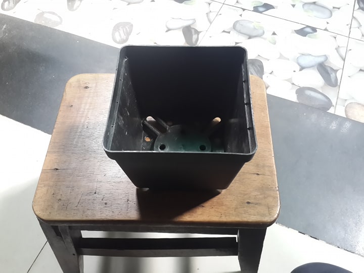 Combo 10 Chậu nhựa đen 13*12cm trồng rau củ quả