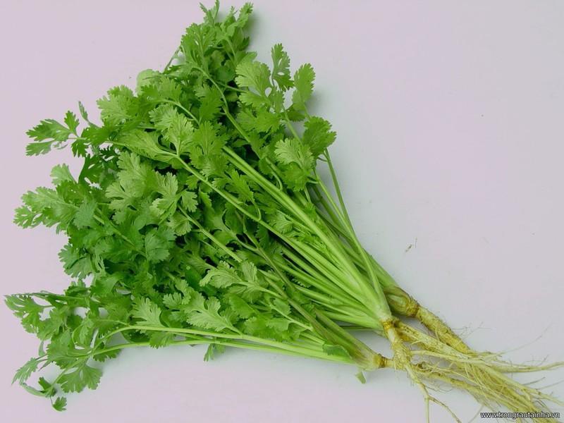 Hạt giống rau thơm ( cồn tía - rau ngò ) - 20gr/gói