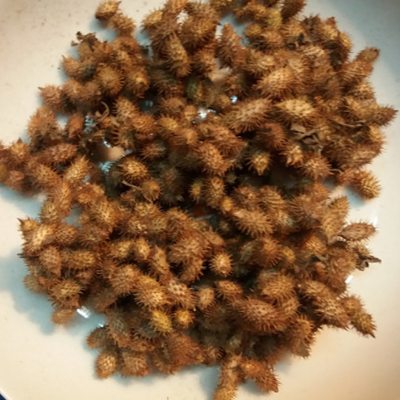 Quả ké đầu ngựa khô (1KG) - DB172