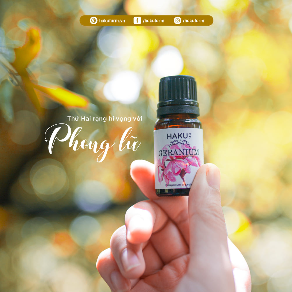 Geranium Essential Oil