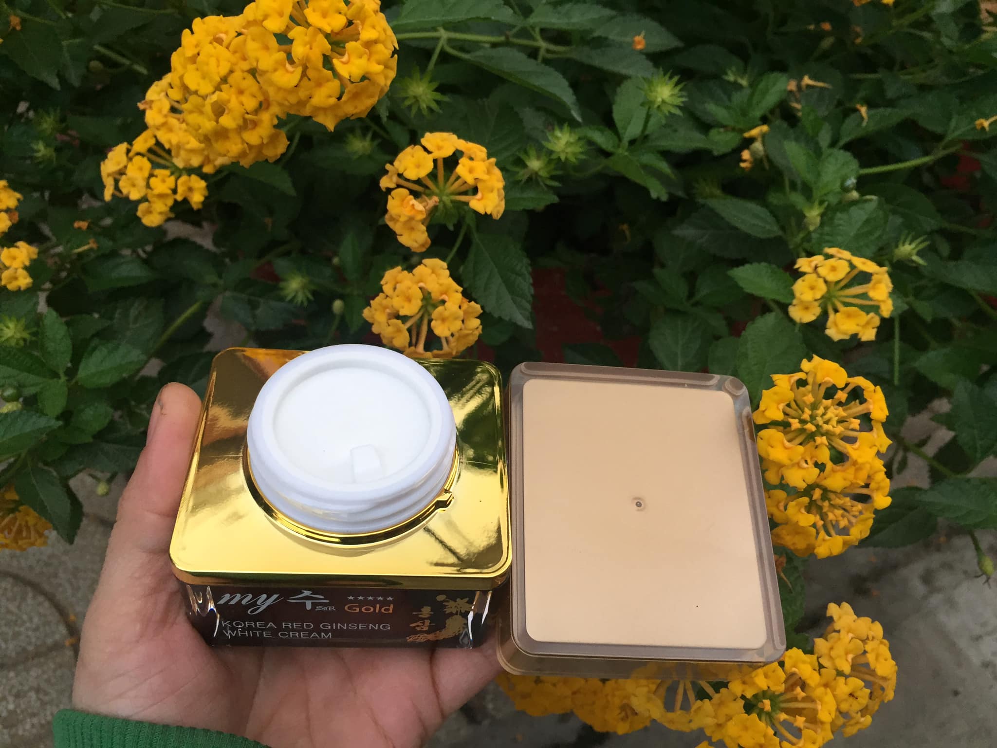 Kem sâm Hàn Quốc My Gold trắng da 50 ml