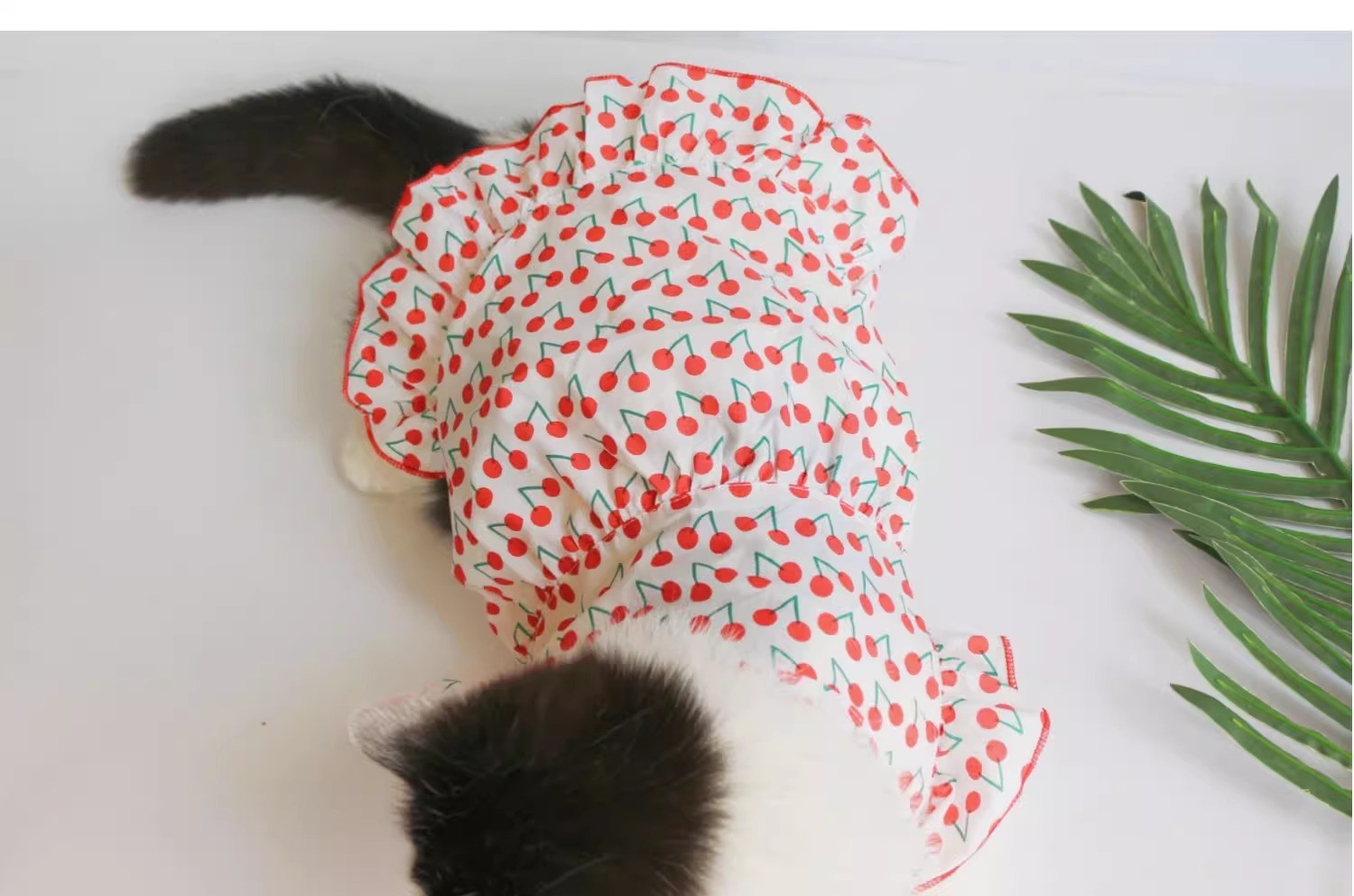 Váy đầm in cherry liti cho chó mèo