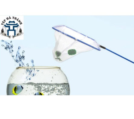[Hoàn Tiền 10%] Vợt bắt cá tép số 5