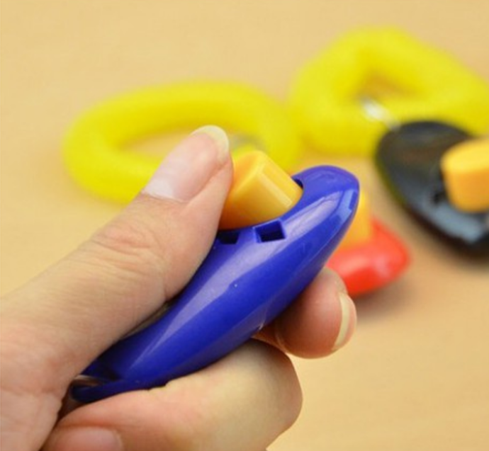 [HCM]Clicker thiết bị huấn luyện chó