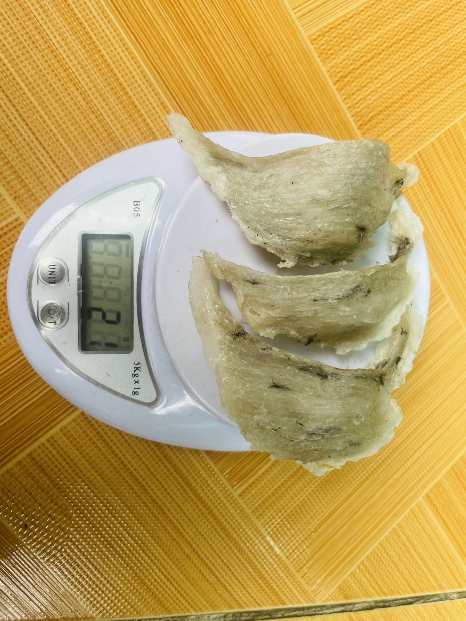 Tổ Yến thô nguyên chất