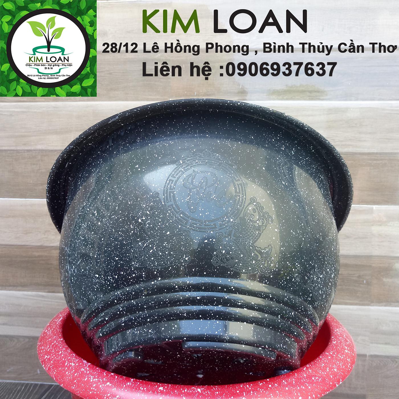 Combo 4 chậu tròn vân đá Cát Tường 35x20cm