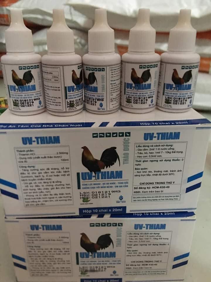Uv - thiam tăng lực nhanh - đá bo khỏe - úm gia cầm 1 lọ 20ml