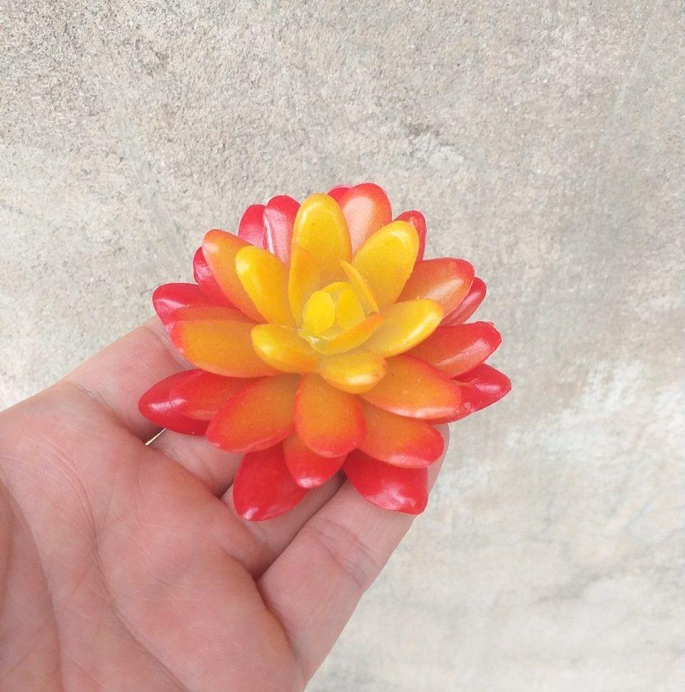 Cây hoa nhựa: Sen đá Ruby đỏ nhựa