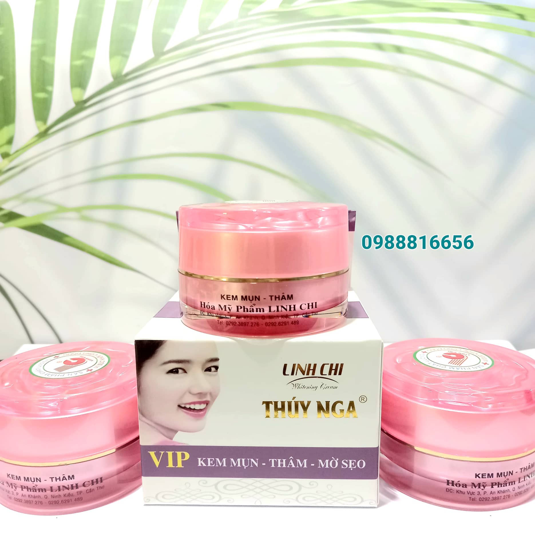 Kem mụn-thâm-mờ sẹo VIP Linh Chi Thúy Nga (25g)