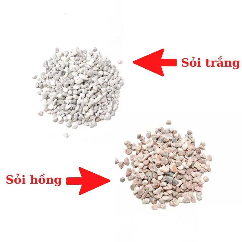 Sỏi hồ cá ( Chon Màu ) , Sỏi trang trí bể cá 1KG