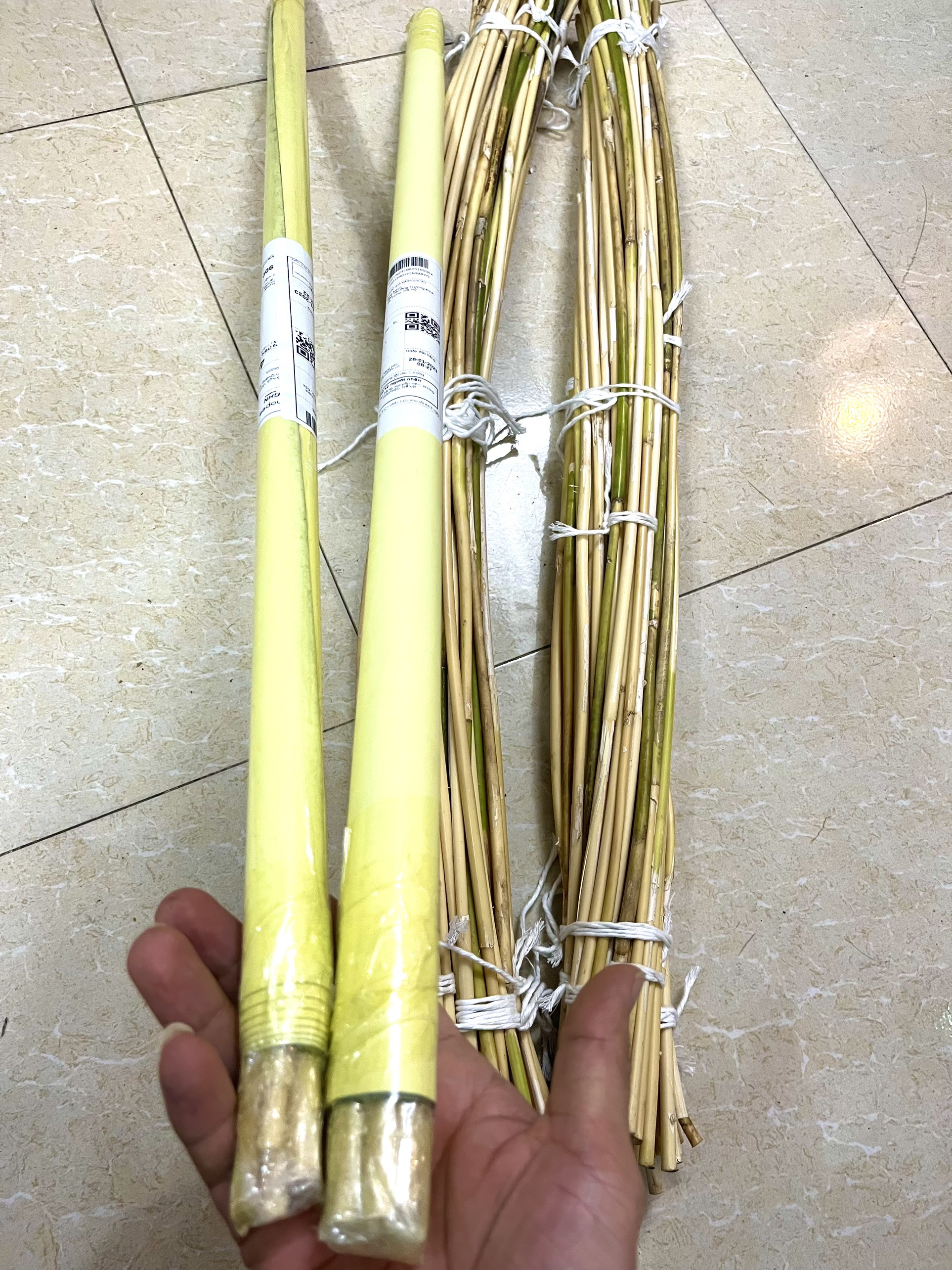 Cây Mây Dẻo Dai - Sử Dụng Để Trang Trí