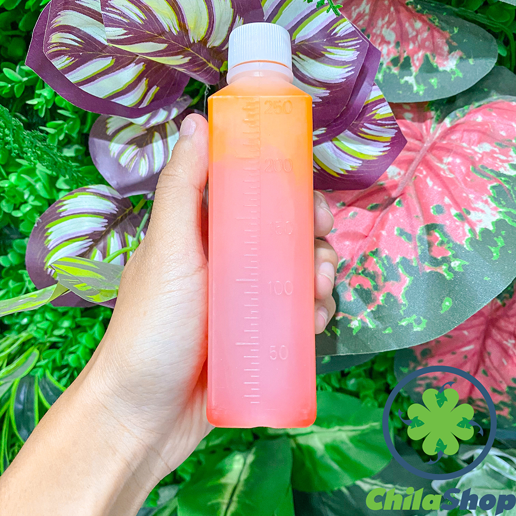 NƯỚC KHÓM TRÂU ĐIÊN (CHAI - 250ML)