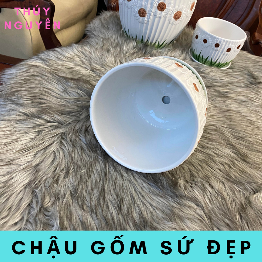Chậu trồng cây để bàn bằng gốm sứ