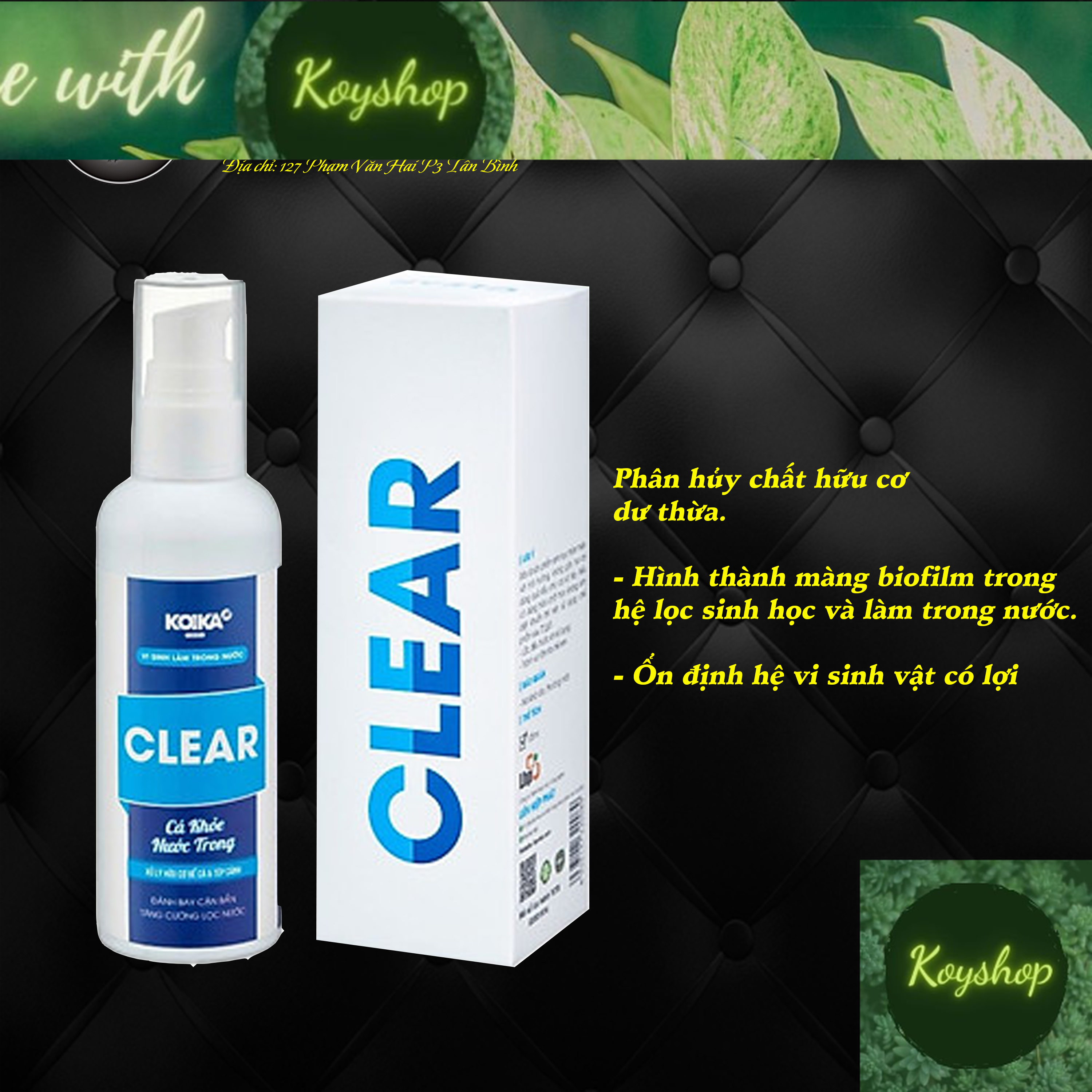 Men vi sinh koika clear - làm trong nước phân hủy chất dư thừa