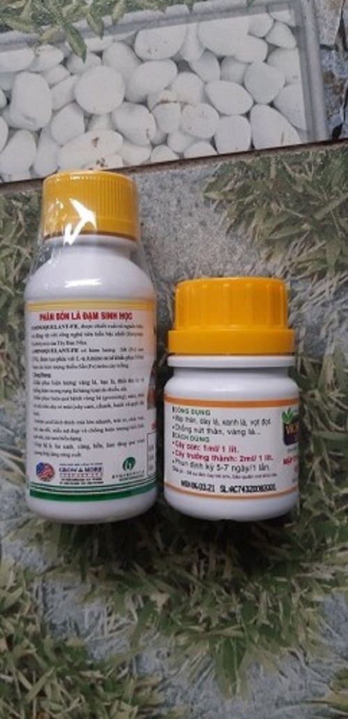 BỘ SẢN PHẨM DƯỠNG CÂY, CHĂM SÓC CÂY SỨ THÁI (AMINO Ca: 100 ML VK HUMAT : 50 ML)