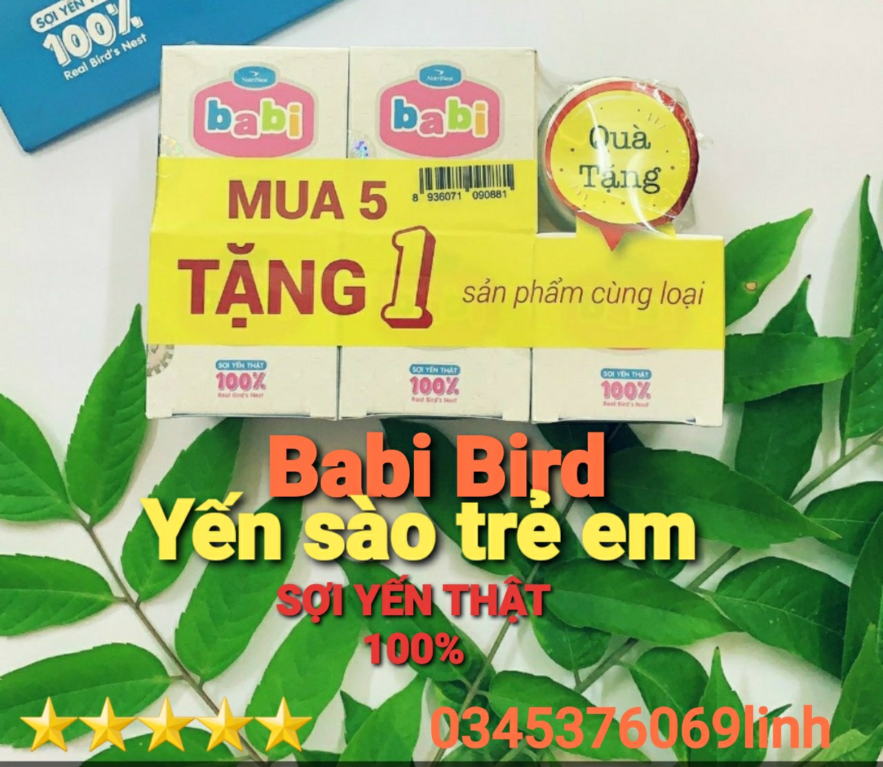 Yến sào trẻ em - yến babi bird nutrinest - yến sợi thật 100%