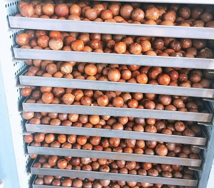 Combo 2 kg hạt macca Lâm Đồng sấy