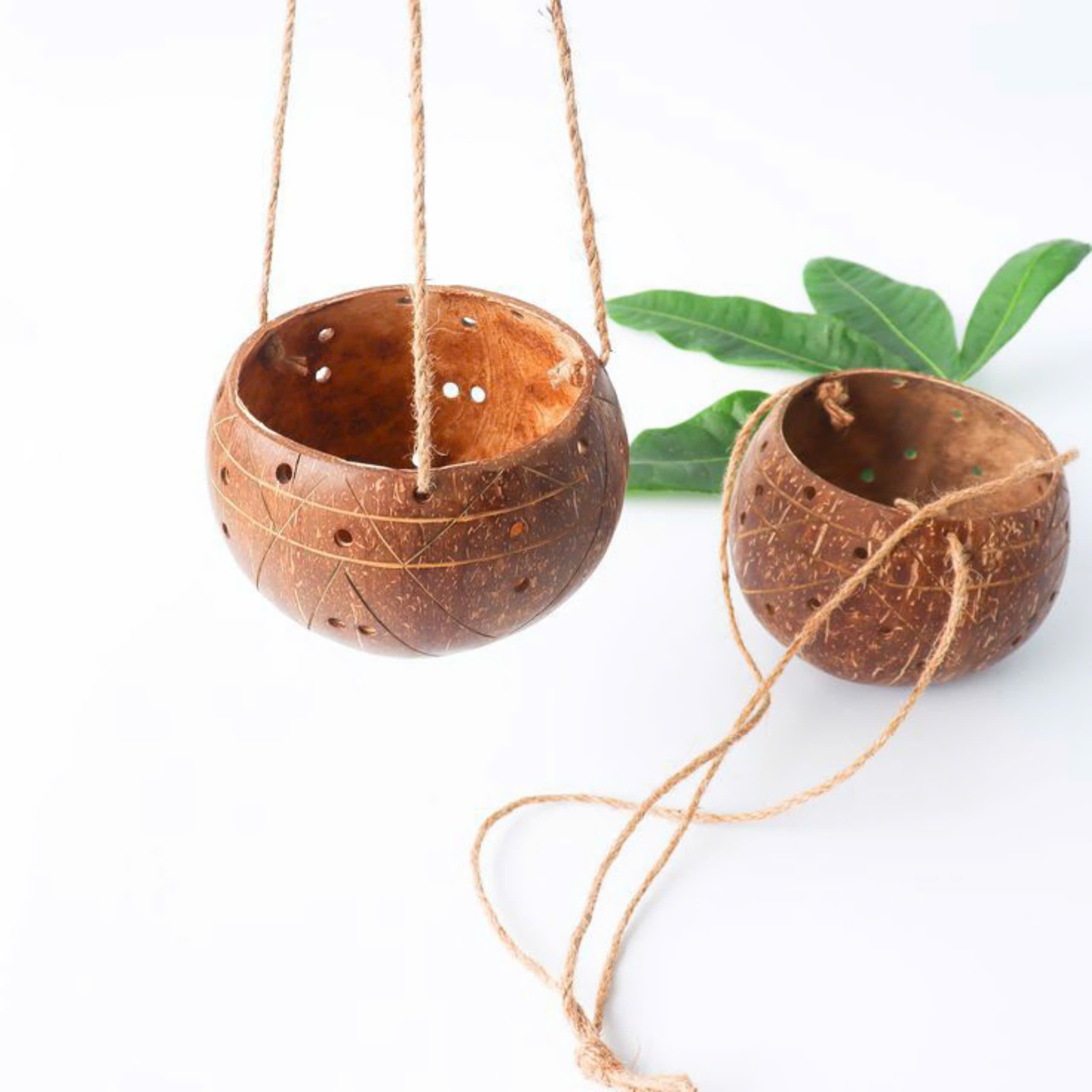 chậu dừa trồng cây