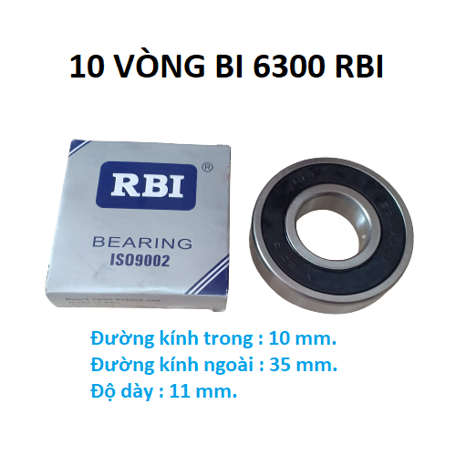 10 vòng bi 6300 RBI chất lượng cao