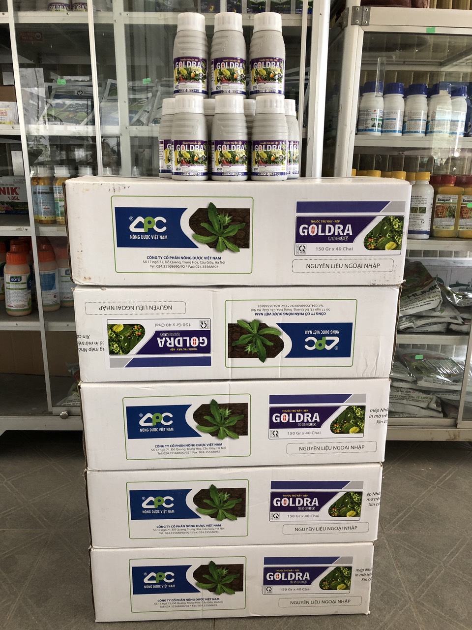 GOLDRA 250WG 150GR