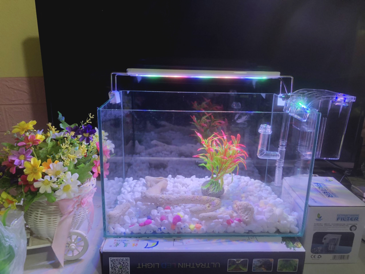 Hồ cá, bể cá full combo 6 món phụ Kiện D38 R20 H20