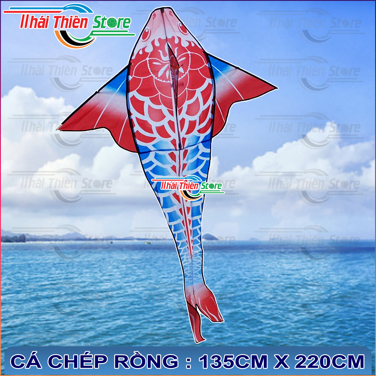 Diều Cá Koi, Chép Rồng Nhiều Màu