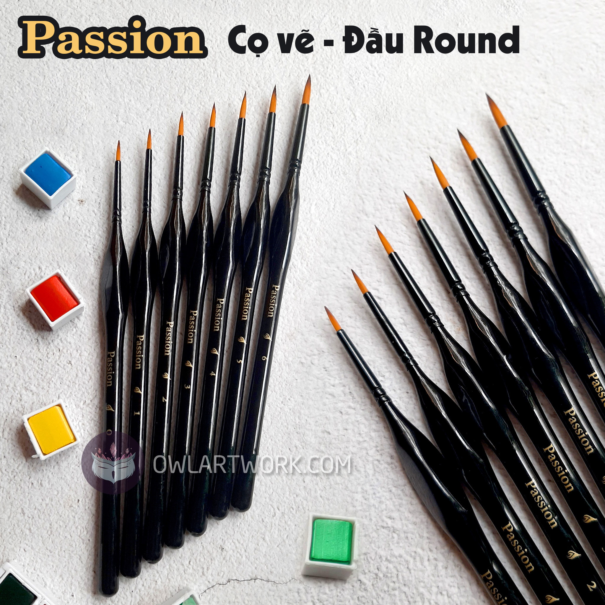 [HCM]Cọ Vẽ Màu Nước Passion Hàn Quốc - Đầu tròn (Round)