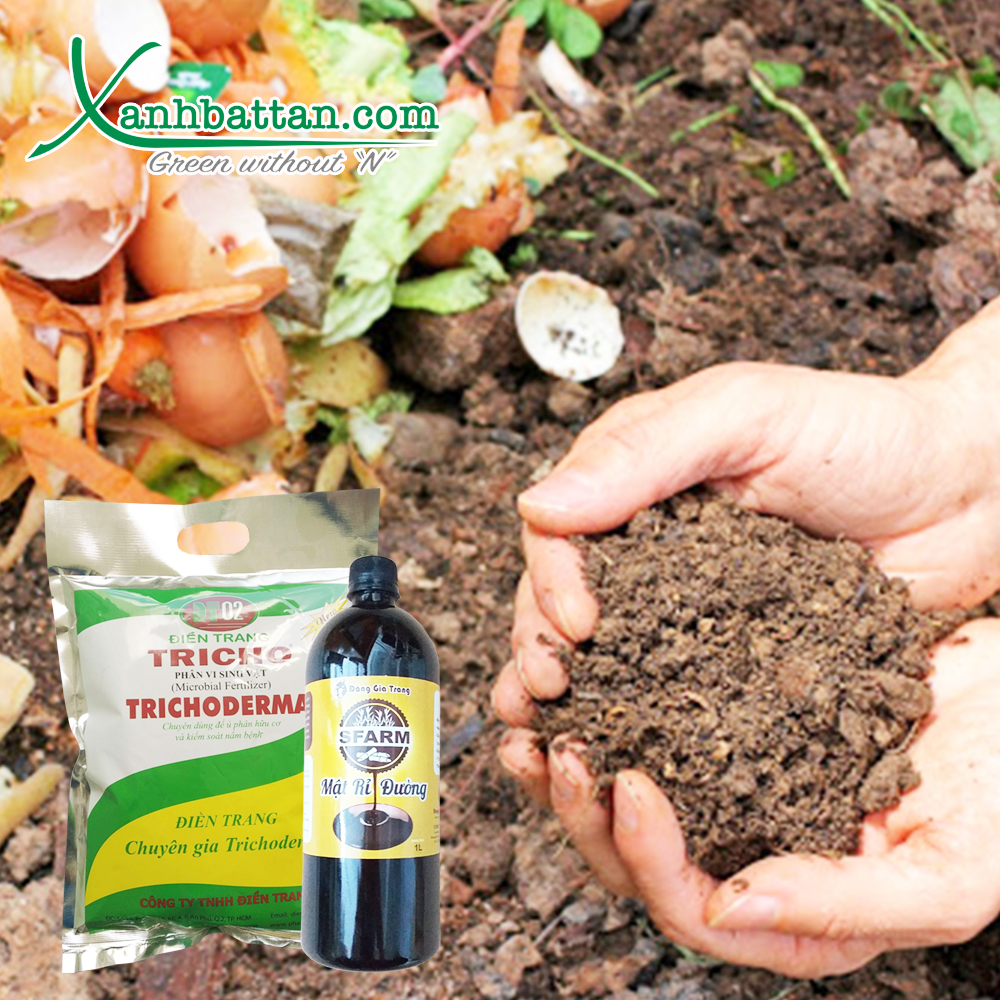 Bộ Đôi Mật Rỉ Đường 1 Lít Và Nấm Đối Kháng Trichoderma 1kg