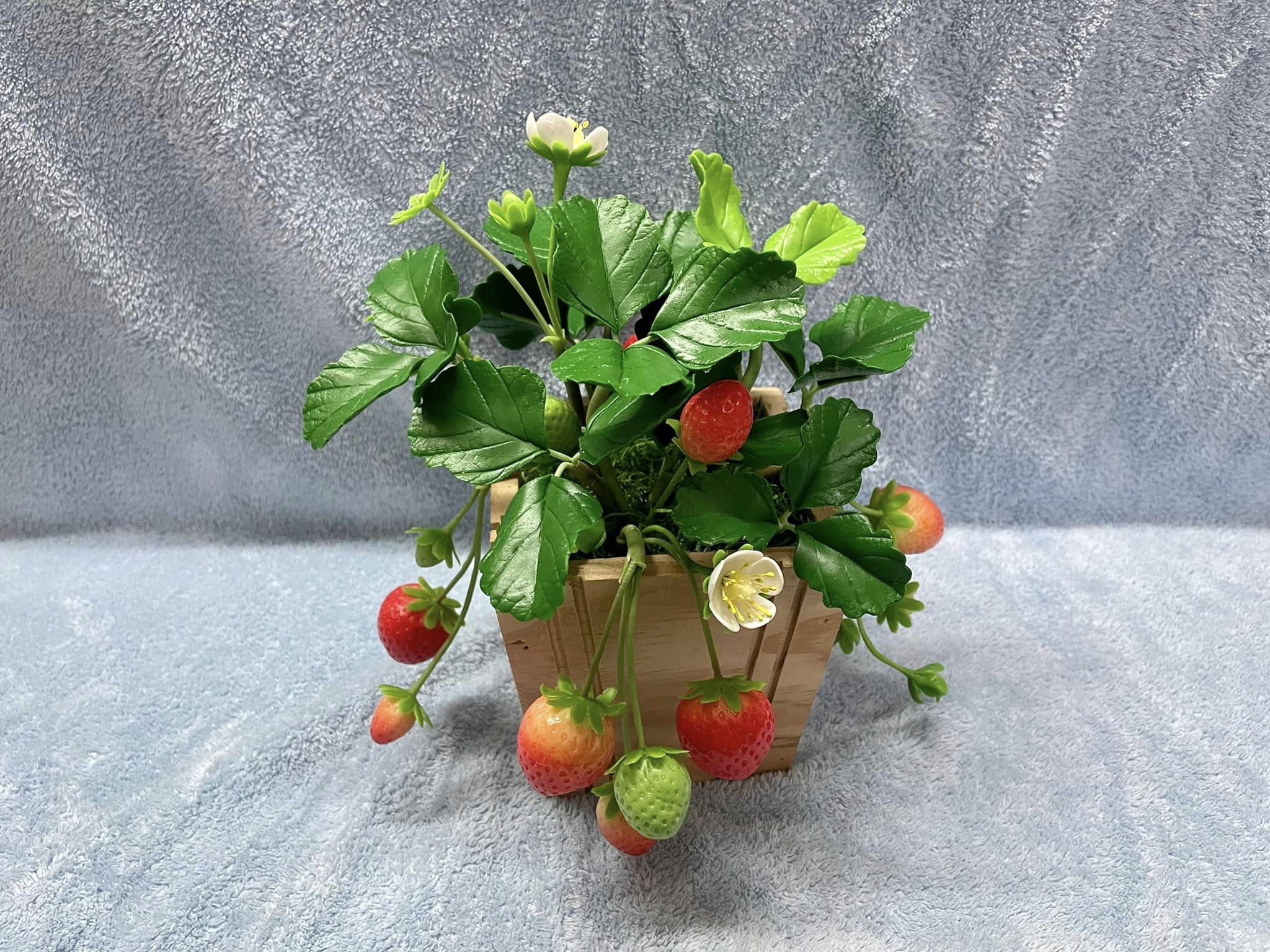Dâu tây đất sét trong chậu gỗ kích thước 25cm