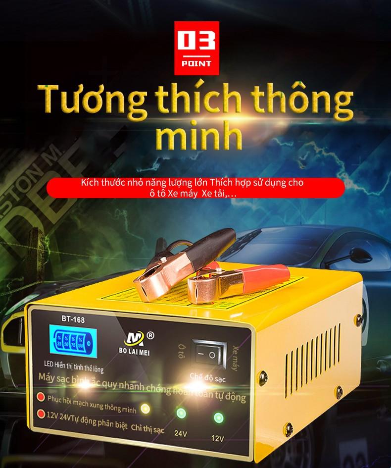 Ắc quy sạc tự động xung đồng 12V 24V