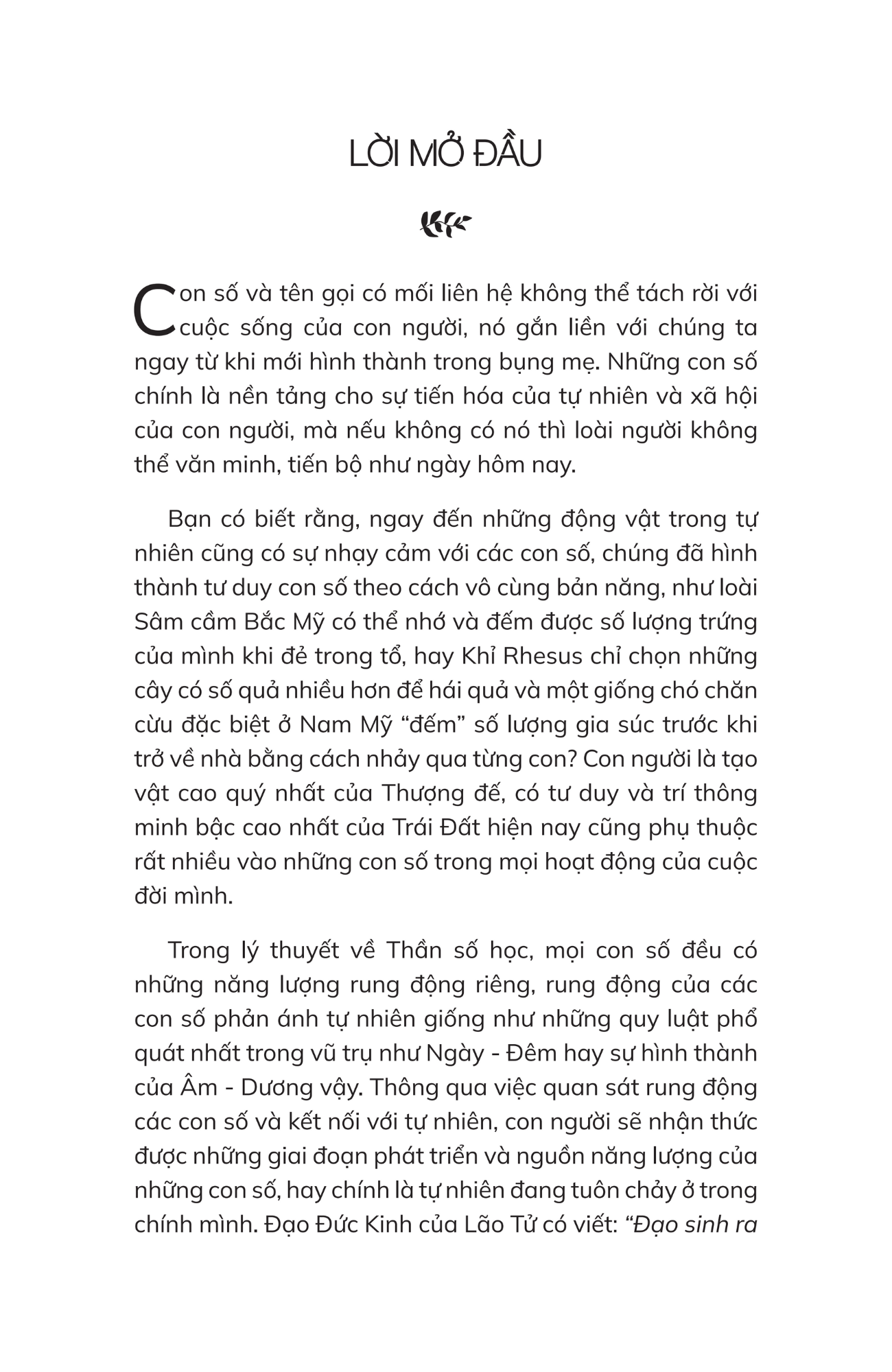 Timebooks - Thần Số Học Chữa Lành