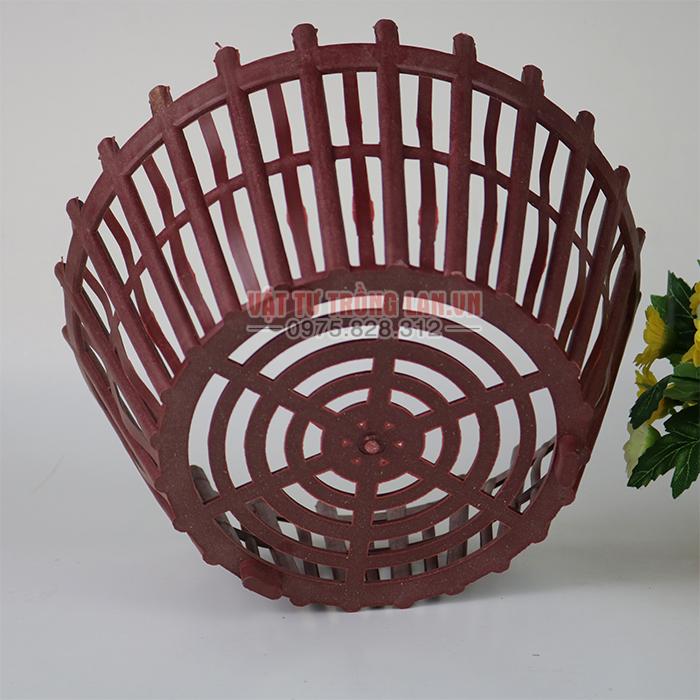 Chậu nhựa nâu có nan phụ trồng Lan phi 25 cm