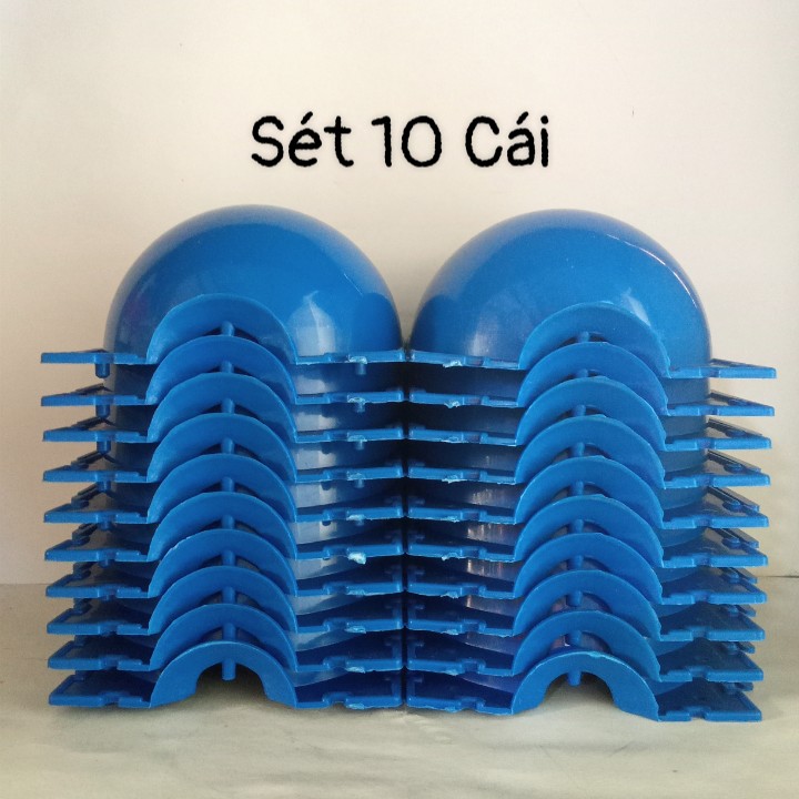 Bầu chiết cành / giâm cành – size 10cm