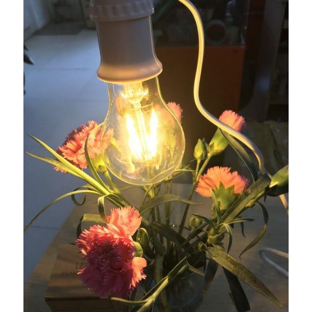 Bóng Đèn Led edison A60 E27