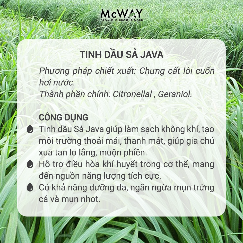 Saroma - Tinh dầu thiên nhiên - Sả Java - 100ml