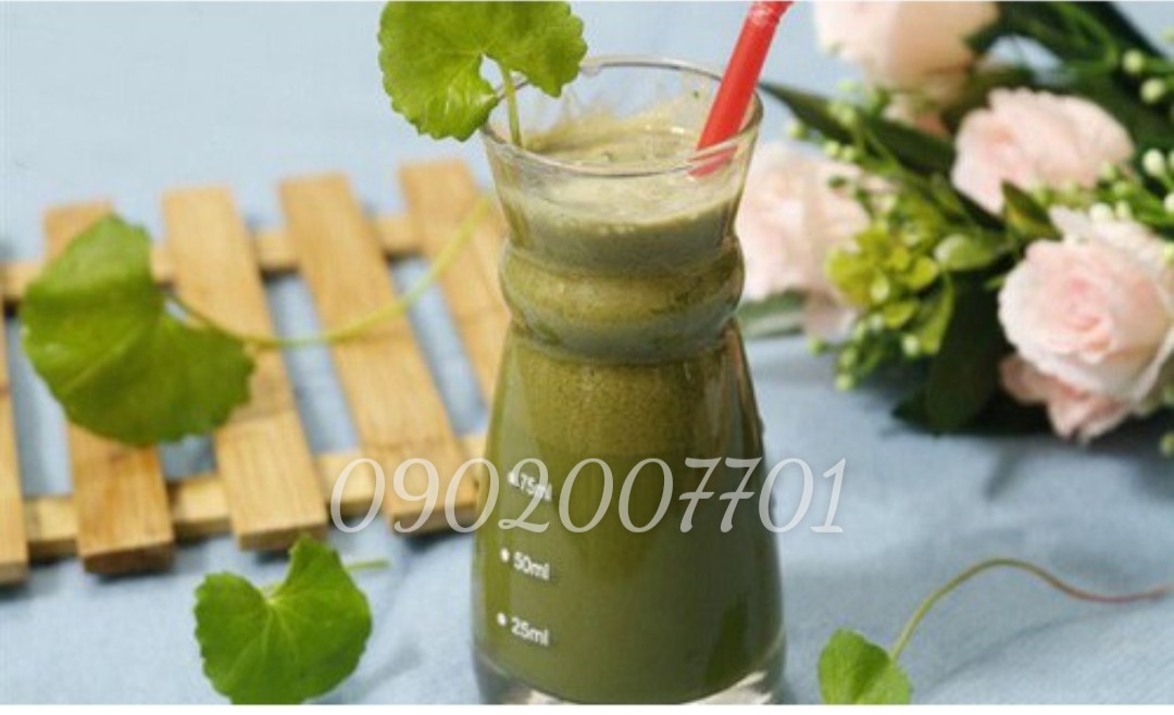 Bột rau má sấy lạnh nguyên chất 100%