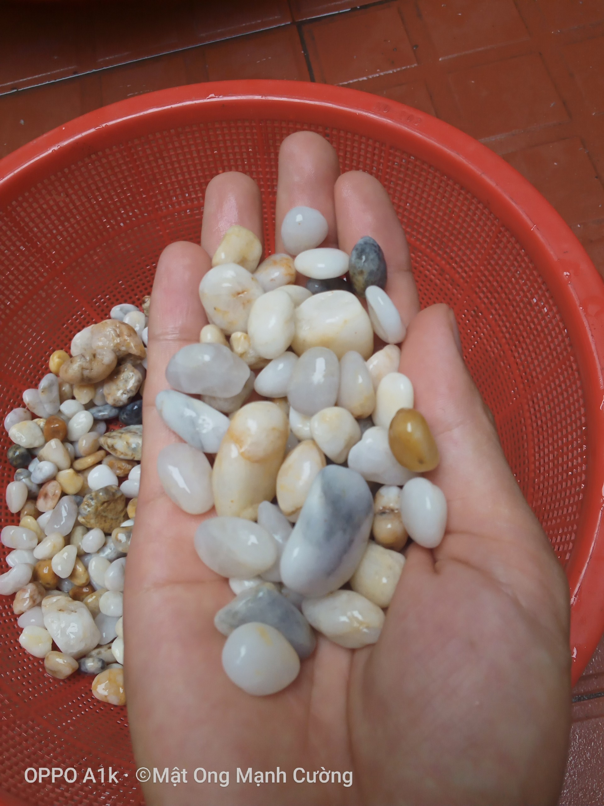 Combo bộ cờ ô quan và cờ búng