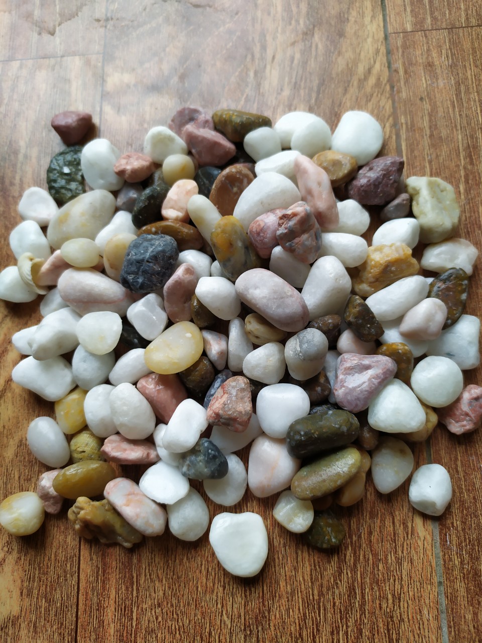 [Chọn size]1kg Sỏi Đa màu trang trí bể cá,sân vườn ,