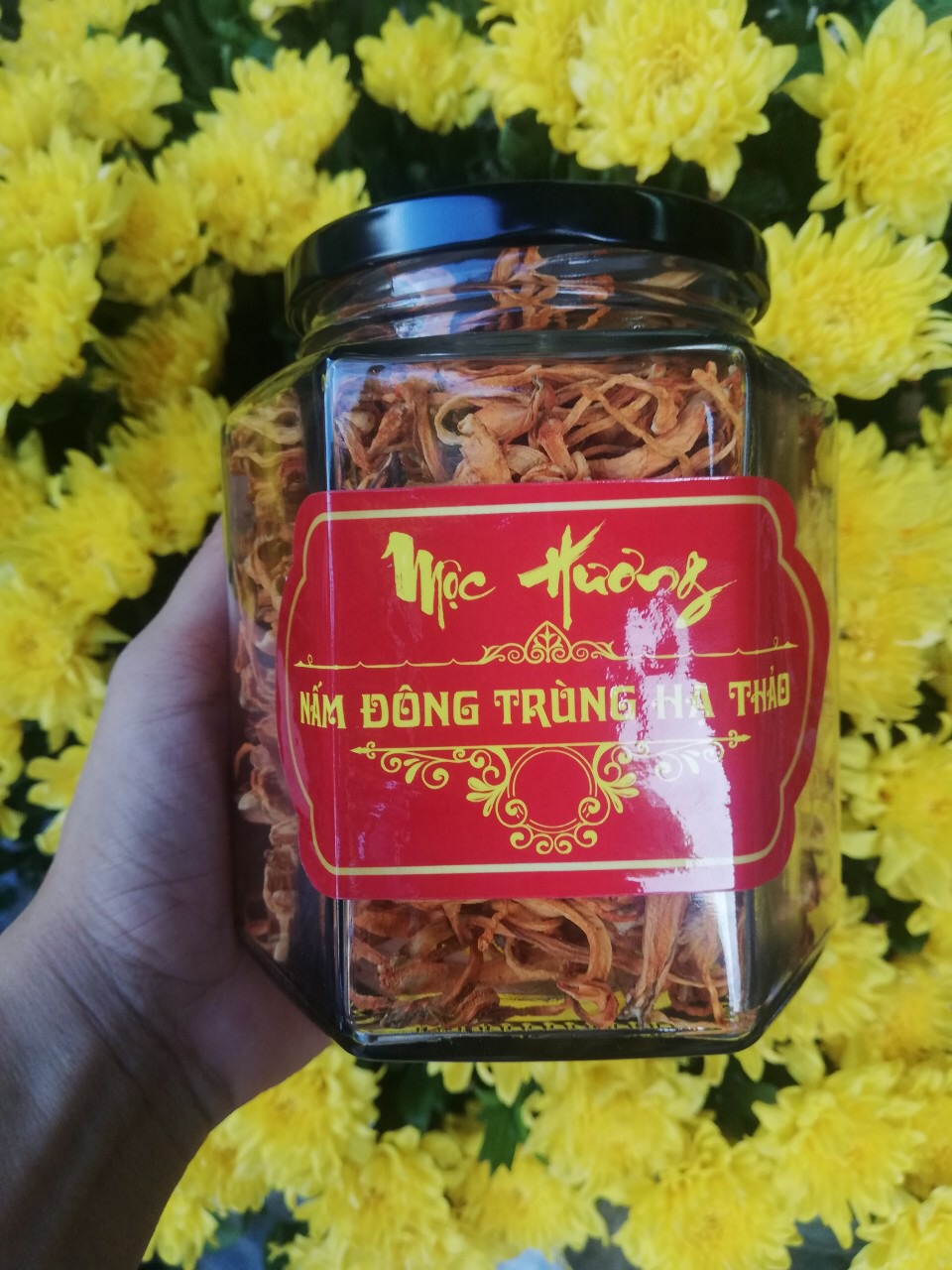 100G Nấm Đông Trùng Hạ Thảo Khô