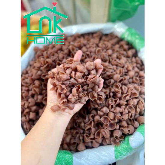 Nui sò gạo lứt Organic