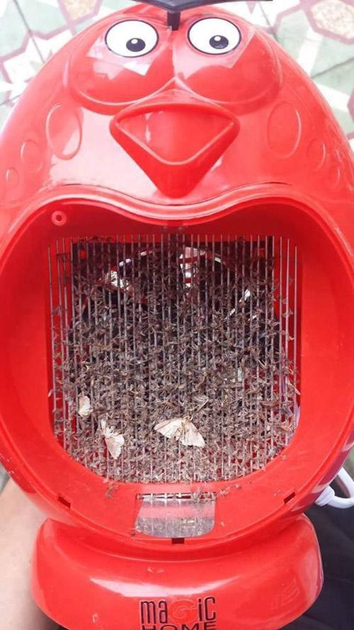 Đèn bắt muỗi kèm quạt hình con thú lớn